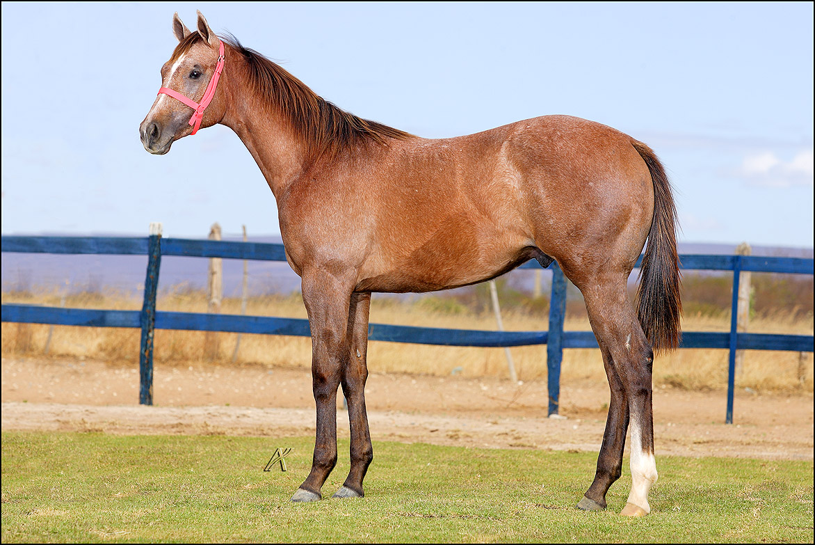 Davi Bryan ainda Potrinho !!!!!!!!!!!!!!