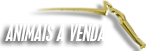 Animais a venda